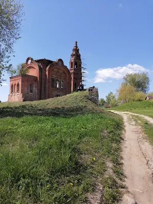 Фото жуков в деревне: скачать бесплатно в HD качестве