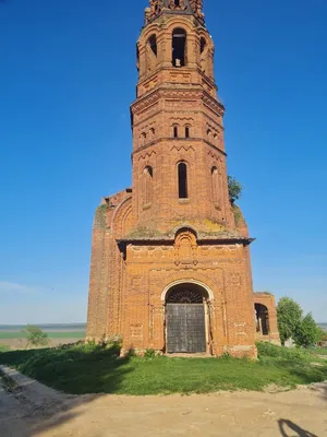 Фото жуков в деревне: скачать бесплатно в HD качестве