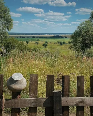 Фото жуков в деревне: красочные изображения в хорошем качестве