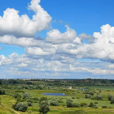 Фотографии жуков в деревне: взгляд на мир насекомых