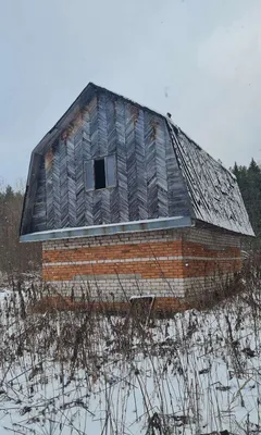 Фотографии жуков в деревне: уникальные снимки насекомых