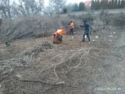 Живописная фотография арака на рабочий стол