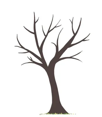 Фото дерева без листьев - выберите размер и формат для скачивания (JPG, PNG, WebP)