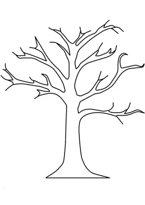 Новое изображение дерева без листьев - выберите размер и формат для скачивания (JPG, PNG, WebP)
