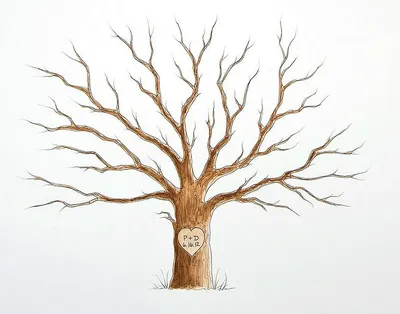 Фотография дерева без листьев в формате JPG