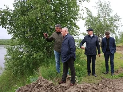 Величественная фотография Дерева чумак: искусство природы в каждом пикселе