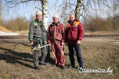 Изображения Дерева чумак: великолепие природы в фотографиях