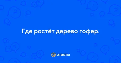 Волшебство природы: фото дерева гофер