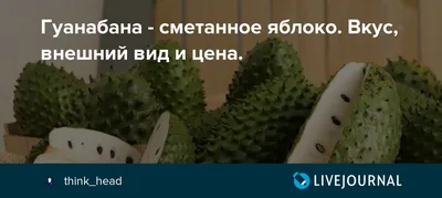 Фото дерева гуанабана: зеленый уголок природы