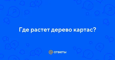 Величественные Дерево картас: прикоснитесь к мощи природы