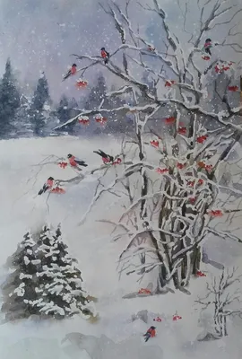 Фотографии Дерева рябины: Зимние моменты красоты