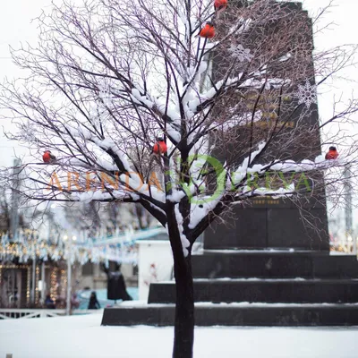 Зимний этюд: Дерево рябина в великолепии сезона