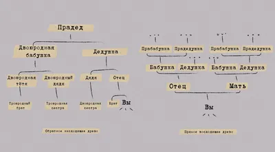 Увлекательная галерея фамильных фотографий: магия дерева родства