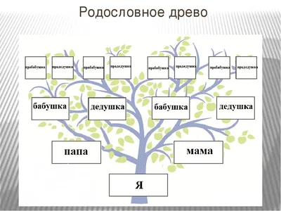 Путешествие сквозь времена: история нашей родословной в фото