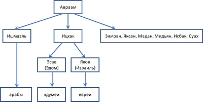 Родословное древо в моментах: узнай больше о своих предках через фото