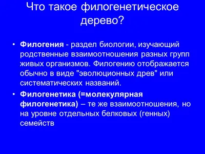 Изображение дерева, символизирующего жизненную силу