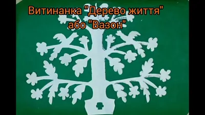 Качественные фото Дерева роду для использования в веб-дизайне