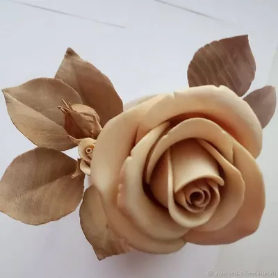Изображение дерева роза: нежные лепестки и яркие цветы