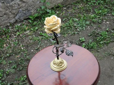Фотка дерева роза: доставьте себе эстетическое удовольствие