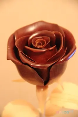Восхитительный вид на дерево роза: создайте атмосферу романтики