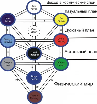 Уникальные обои с изображением дерева Сефирот, доступные в различных размерах.