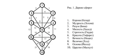 Экзотические контуры Дерева сефирот раскрываются на этой фотографии