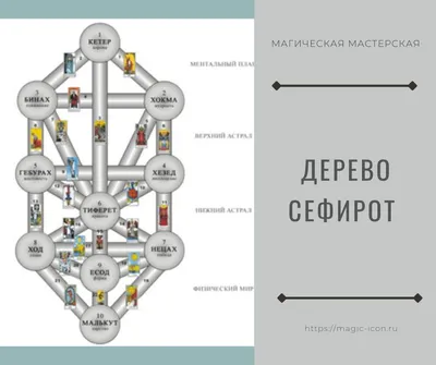 Свежие фото дерева Сефирот: бесплатное скачивание в хорошем качестве.