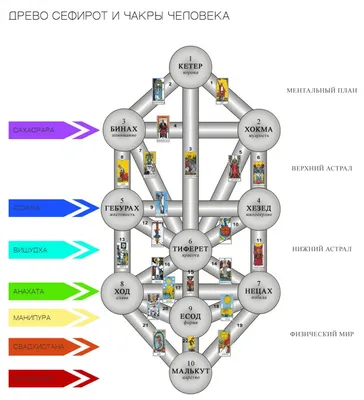 Изумительные обои с деревом Сефирот. Скачать бесплатно в разных форматах.