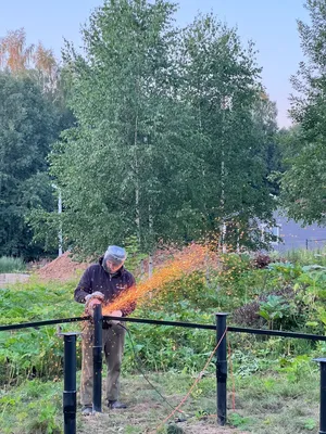 Волшебная красота дерева сидр на фотоснимке