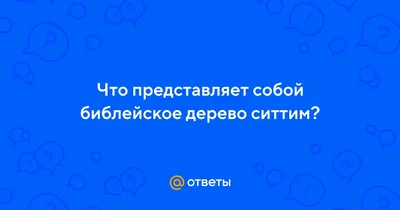 Изображения Дерево ситтим в превосходном качестве