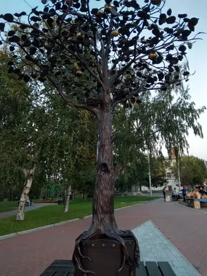 Роскошь Дерева желаний: История, запечатленная в стволе