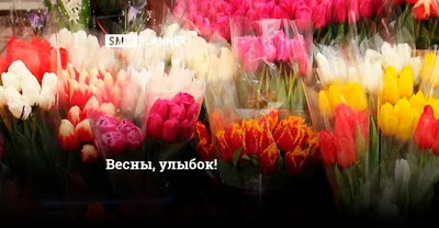 Детские картинки на тему 8 марта: веселые и креативные иллюстрации для праздничного альбома.