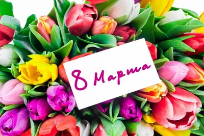 HD фото на 8 марта: сохраните яркие моменты