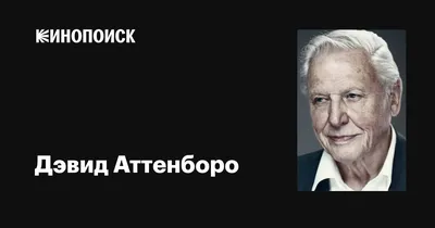 Картинка Дэвида Аттенборо для печати на холсте