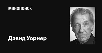 Исполнительный портрет Дэвида Уорнера для использования на сайте