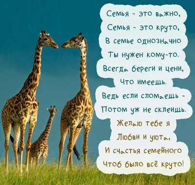 Девиз дня в картинках: Удивительные фото, чтобы вдохновить вас