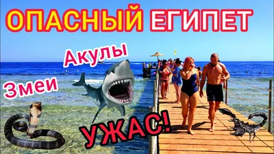 Скачать картинки девушек на море в Египте бесплатно