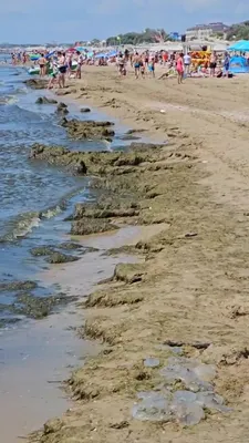 Анапа: где солнце, море и красивые девушки создают идеальное сочетание