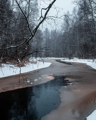 Зимние капли: Изображения девушек на улице в качестве JPG