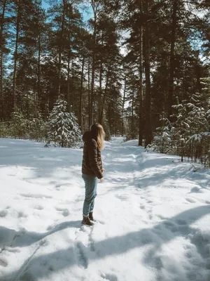 Снежные моменты: Фото девушек сзади