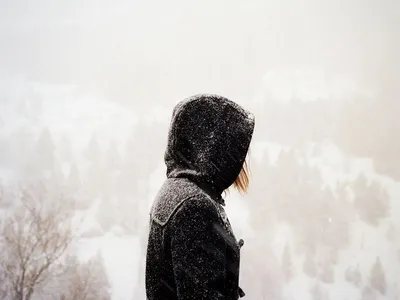 Белоснежные контуры: Фото зимних красавиц
