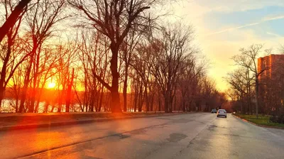 Магия девушек в машине на фото - выберите удобный формат