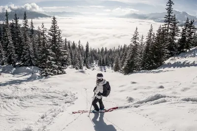 21. Снежные вихри: Лыжные приключения в формате WebP