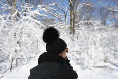Спина зимой: Разные варианты фото для аватара