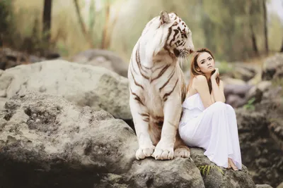 Фото девушки с тигром для использования в цифровой рекламе