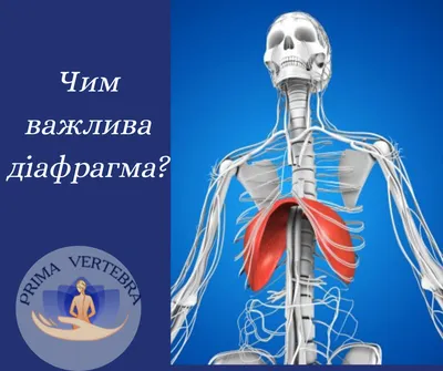 Отражение человеческой природы: Разнообразие форматов Диафрагмы