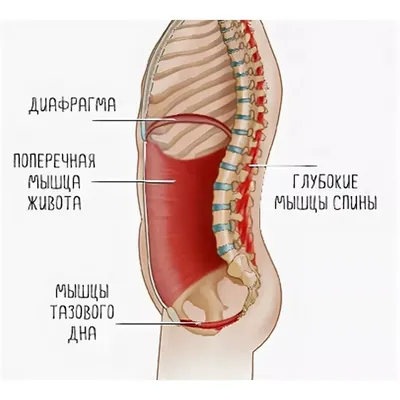 Отражение эмоций: Разнообразие форматов для скачивания Диафрагмы