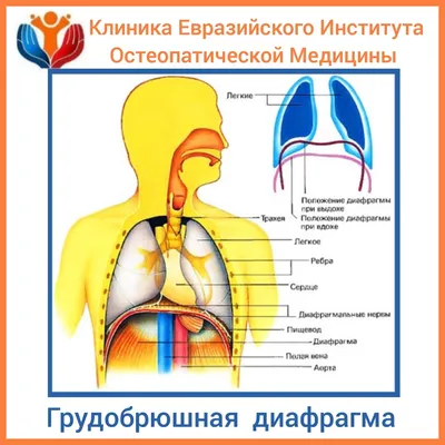 Фотография внутреннего мира: Скачать Диафрагму в разных форматах