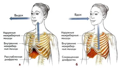 Человек в фокусе: Размеры и форматы изображений Диафрагмы