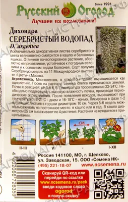 Изображение дня: Дихондра серебристый водопад в природе